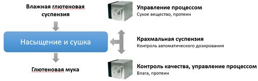 кукуруза_рис.2