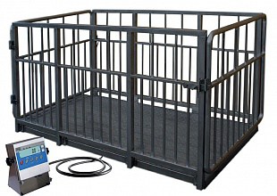 Фото 2 - Весы для взвешивания скота Radwag WPT/4I/S