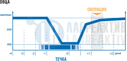 Изображение №3 - Детектор течки Draminski EDS 2 для овец и коз - Лабреактив